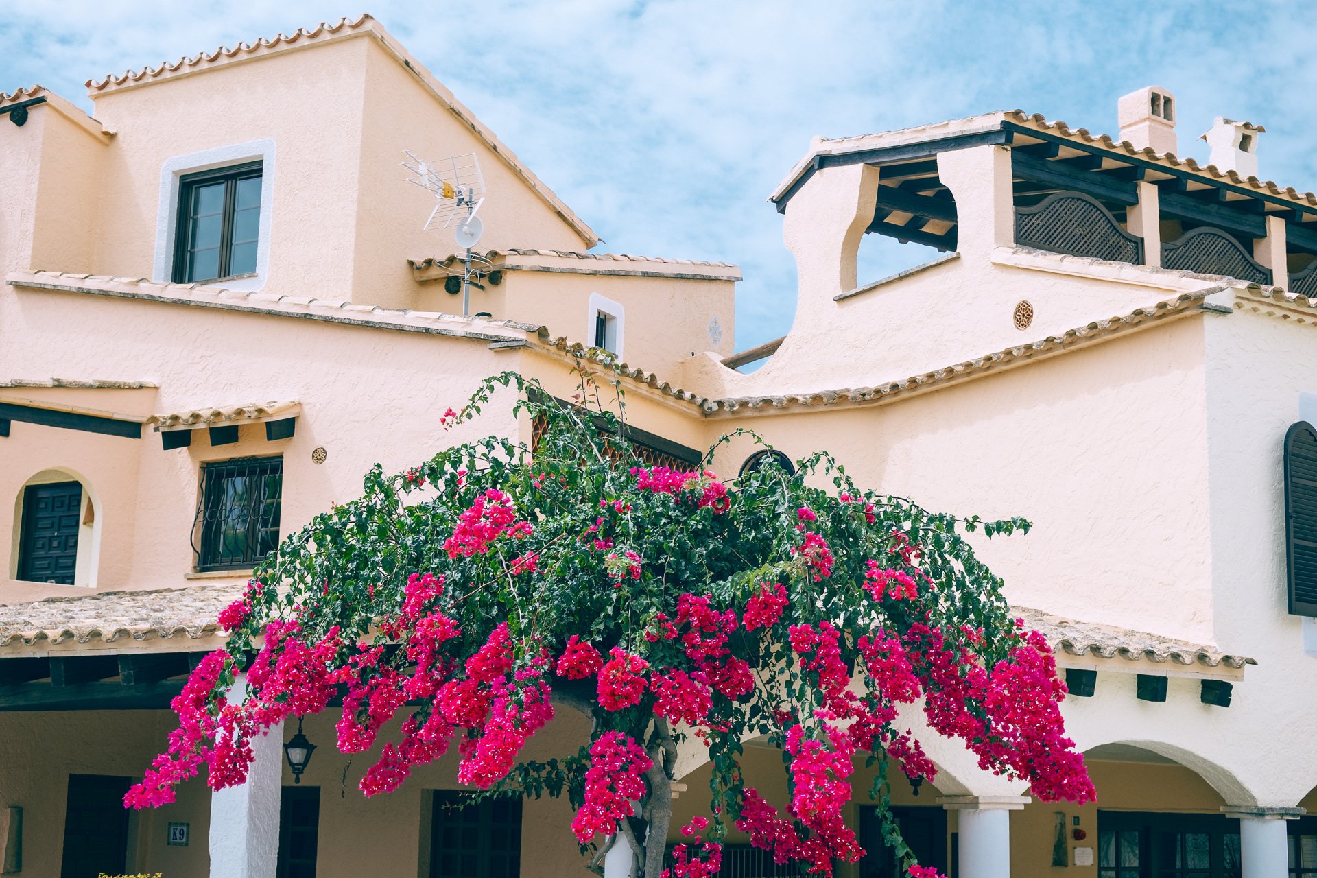 Edificio de paredes claras con tejados de teja, ventanas, porches con arcos y una planta de abundantes flores fucsias en primer plano.